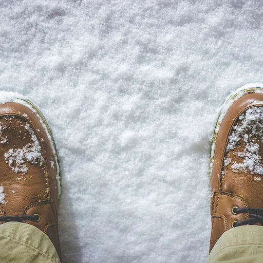 Mocassin femme sebago : l'élégance intemporelle au quotidien